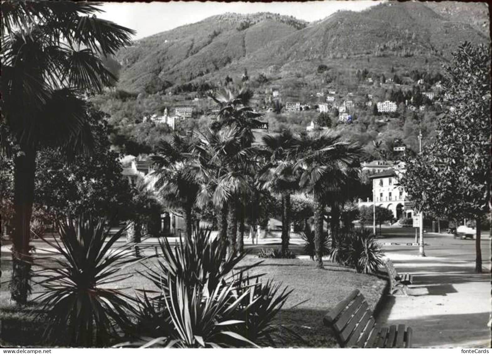 11385439 Orselina TI Uferpromenade Am Lago Maggiore Orselina - Altri & Non Classificati