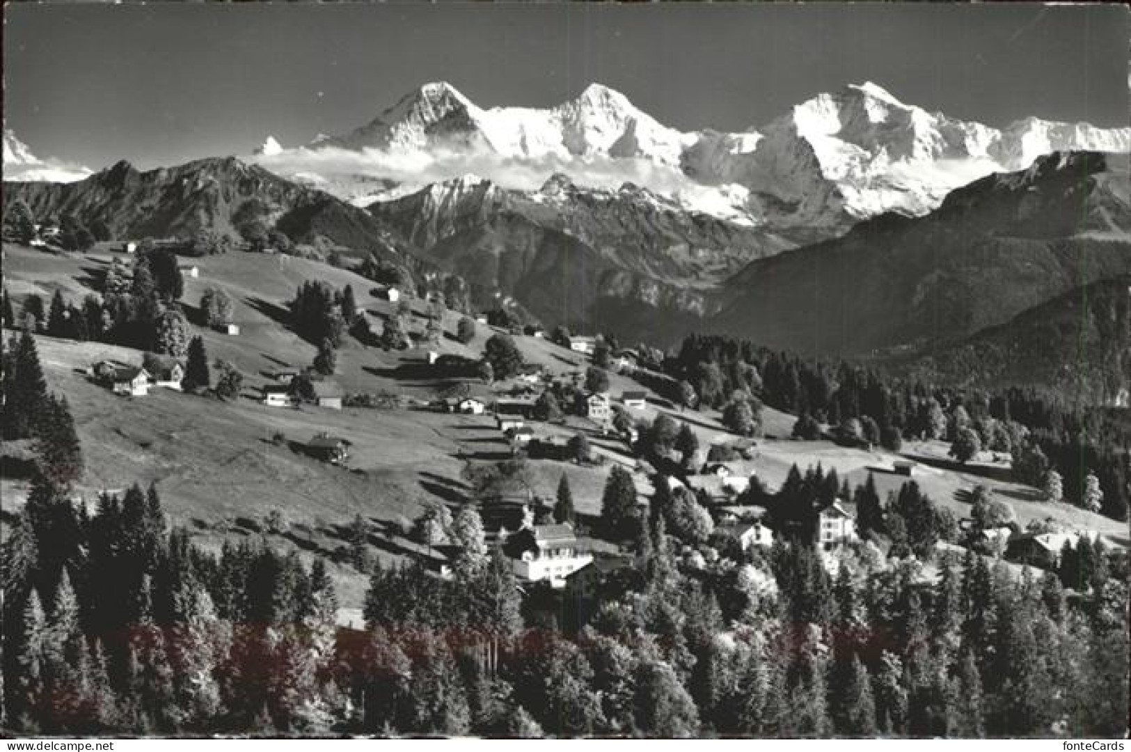 11385307 Waldegg Interlaken Panorama Mit Finsteraarhorn Eiger Moench Jungfrau Be - Andere & Zonder Classificatie