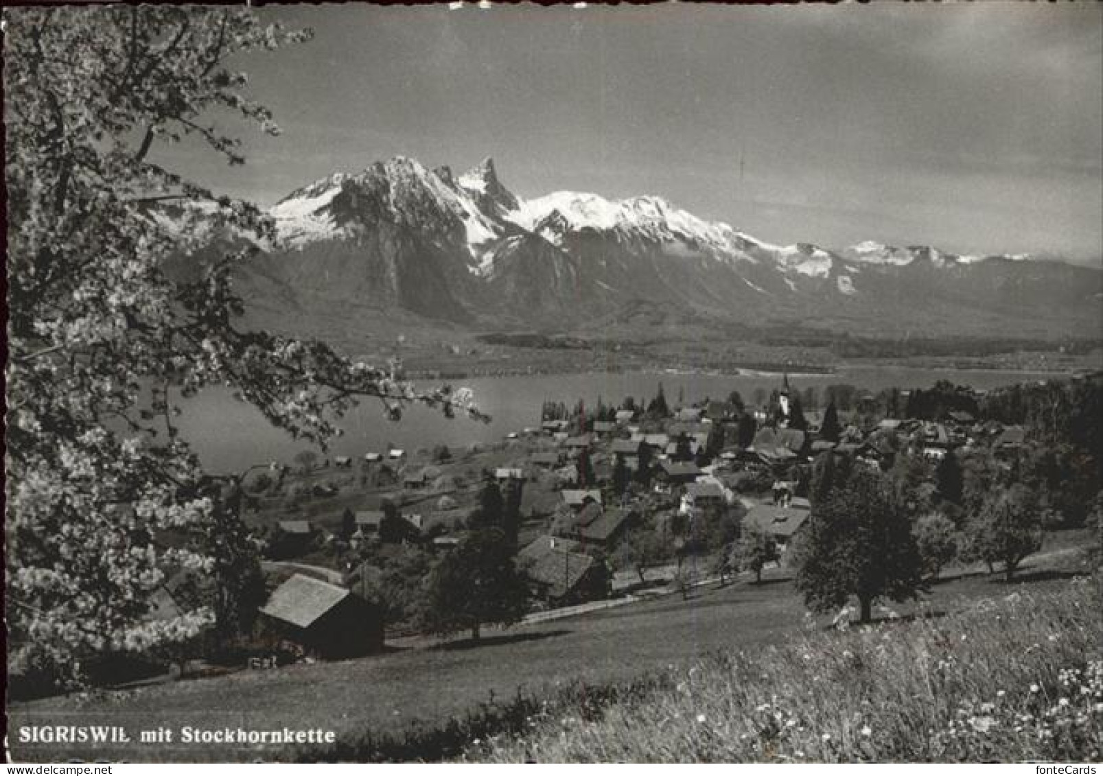 11385229 Sigriswil Panorama Mit Stockhornkette Sigriswil - Autres & Non Classés