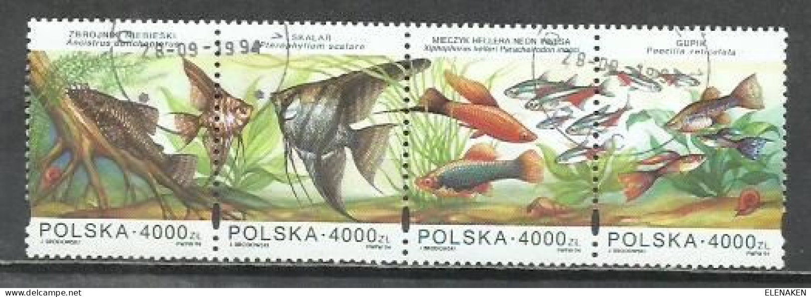 9113- SERIE COMPLETA POLONIA PECES FAUNA MARINA 1996 Nº 3388/3393 MUY BONITOS. - Usados