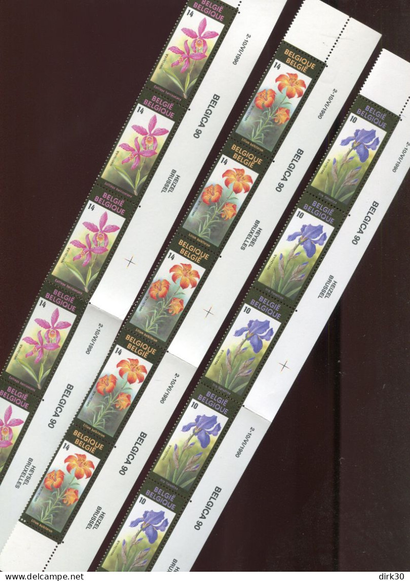 Belgie 2357/59 Gentse Floralien BUZIN Flowers Strips Of 5  MNH - Ongebruikt