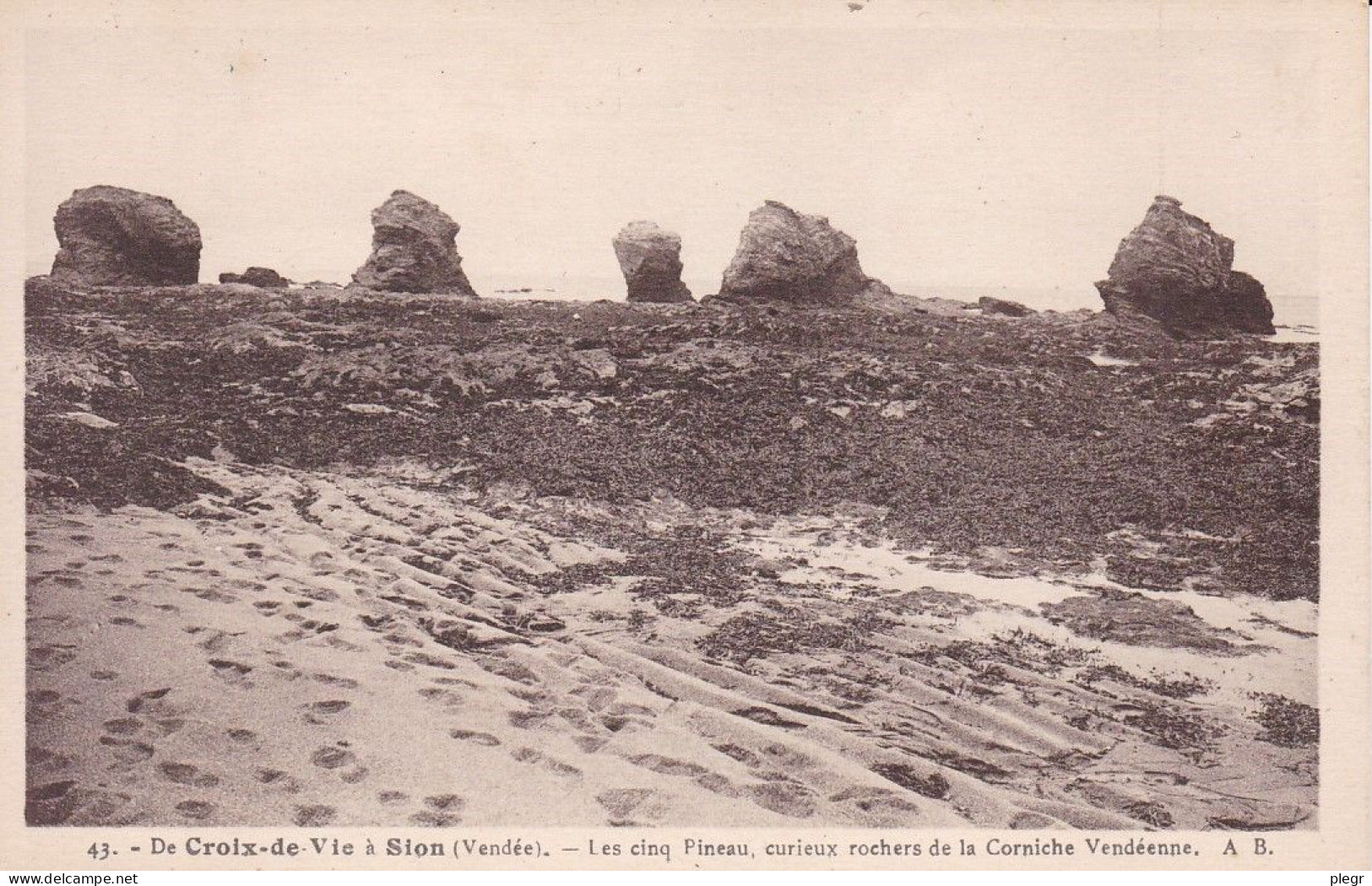 85222 01 161#+17 - DE CROIX DE VIE A SION - LES CINQ PINEAU, CURIEUX ROCHERS DE LA CORNICHE VENDEENNE - Saint Gilles Croix De Vie