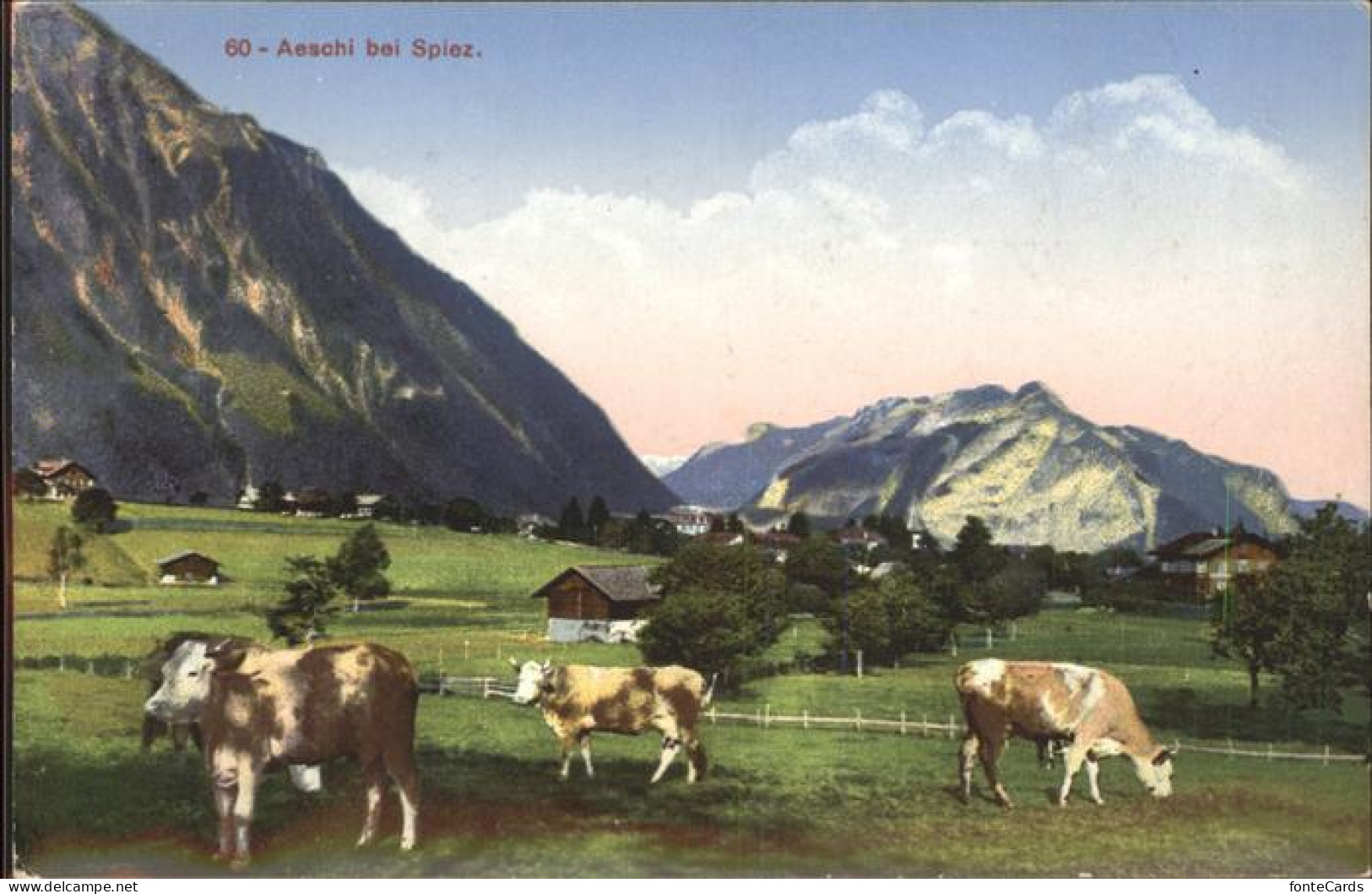 11385122 Aeschi Spiez Panorama Kuehe Aeschi B. Spiez - Sonstige & Ohne Zuordnung