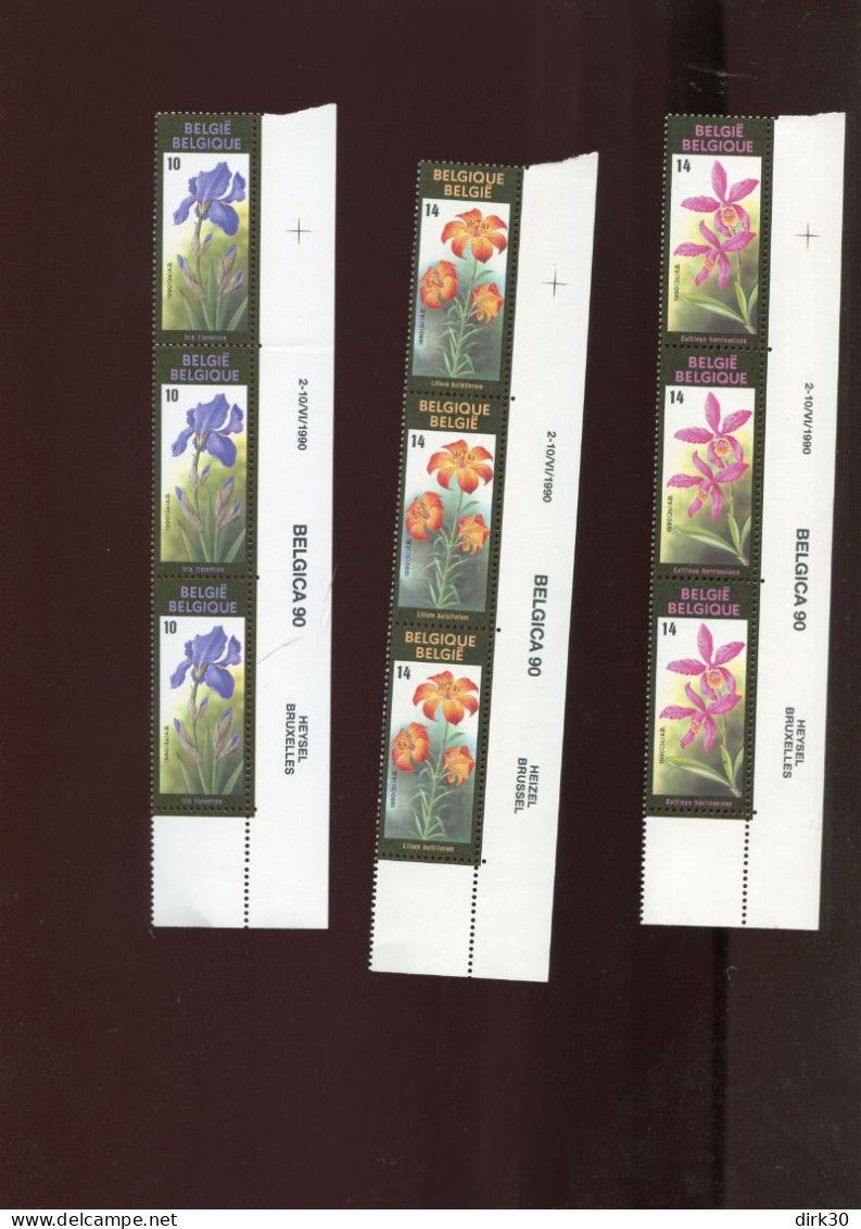 Belgie 2357/59 Gentse Floralien BUZIN Flowers Strips Of 3  MNH - Nuevos