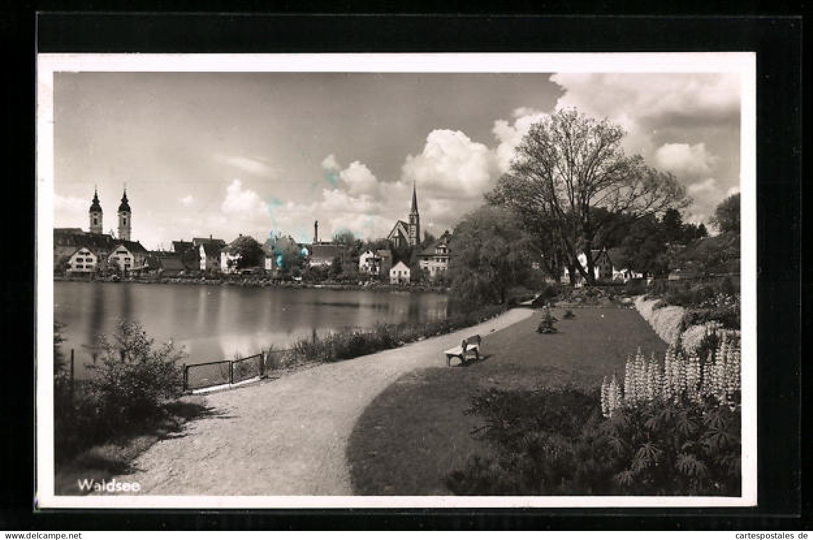 AK Waldsee, Strassenpartie Am See  - Bad Waldsee