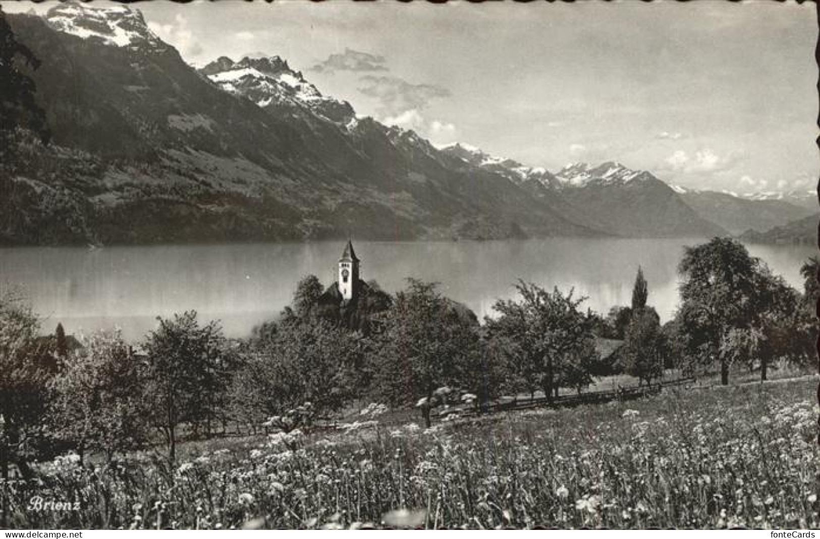 11384885 Brienz BE Brienzersee Panorama Brienz BE - Autres & Non Classés