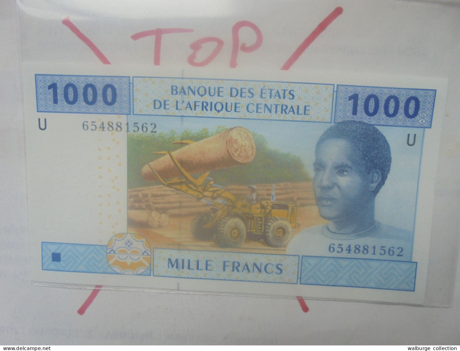 AFRIQUE CENTRALE (CAMEROUN) 1000 FRANCS 2002 Neuf (B.33) - Estados Centroafricanos