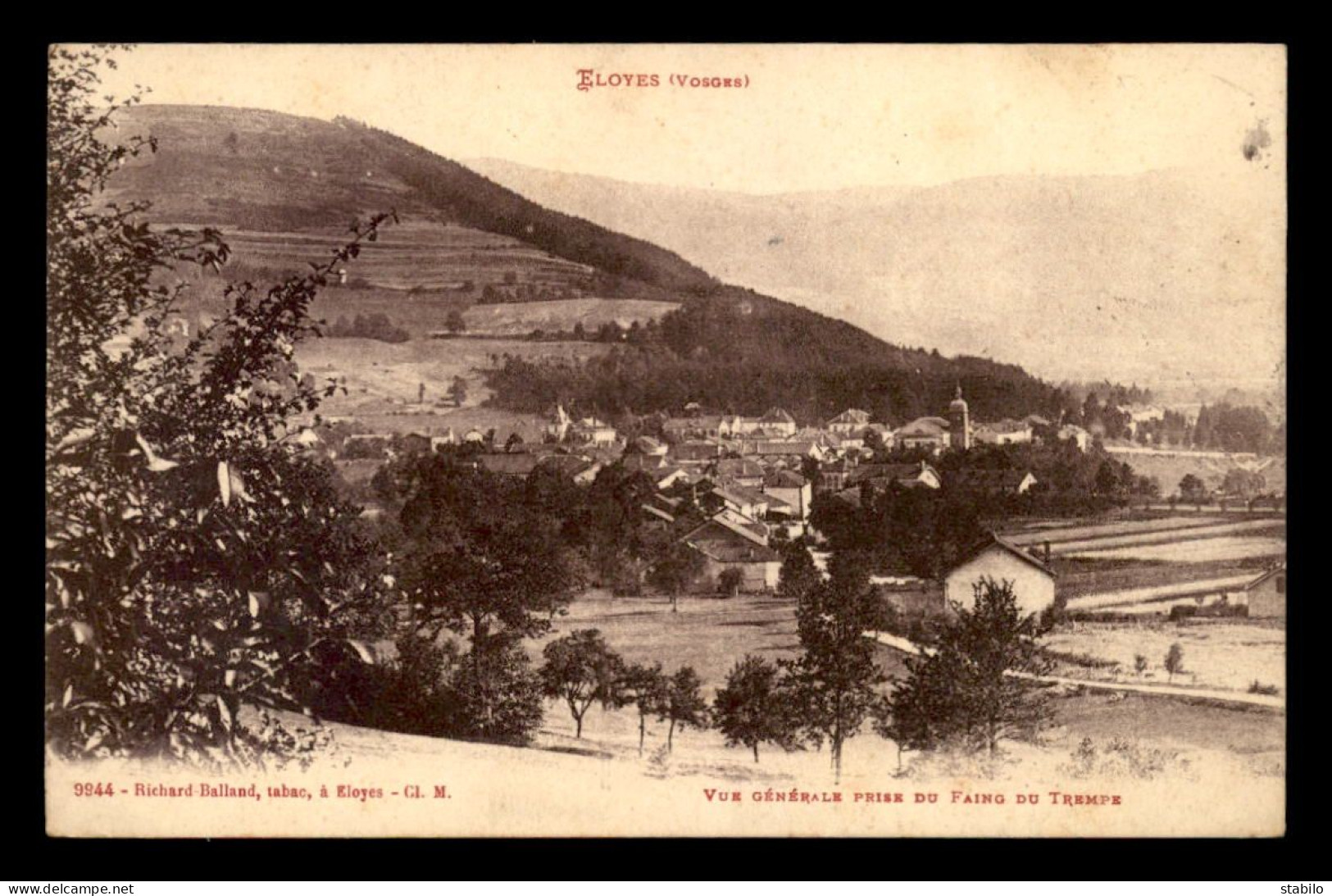 88 - ELOYES - VUE GENERALE PRISE DU FAING DU TREMPE - Autres & Non Classés