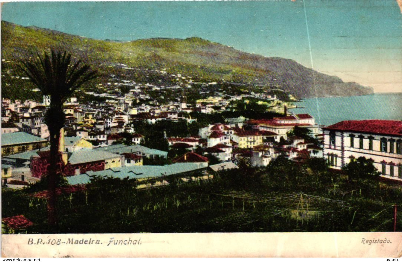 MADEIRA / FUNCHAL - Madeira