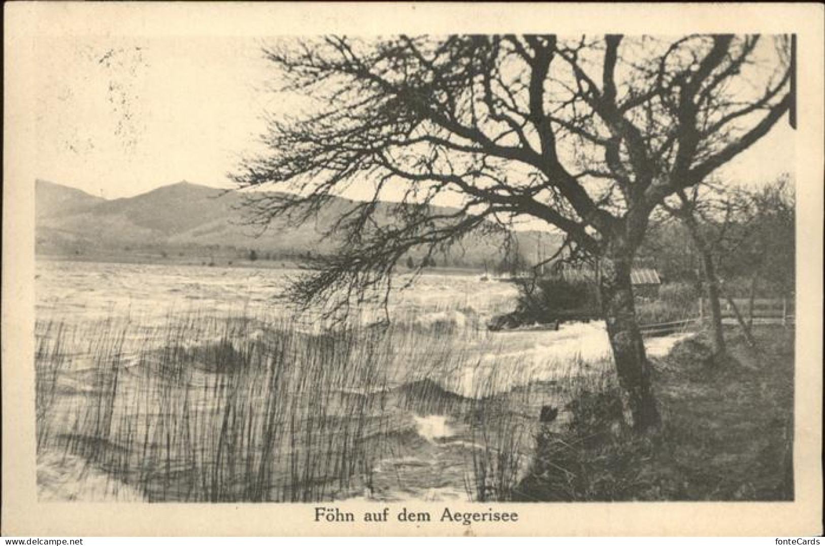 11384726 Aegerisee Aegerisee Unteraegeri Unter-Aegeri ZG Sturm Auf Dem See  - Altri & Non Classificati