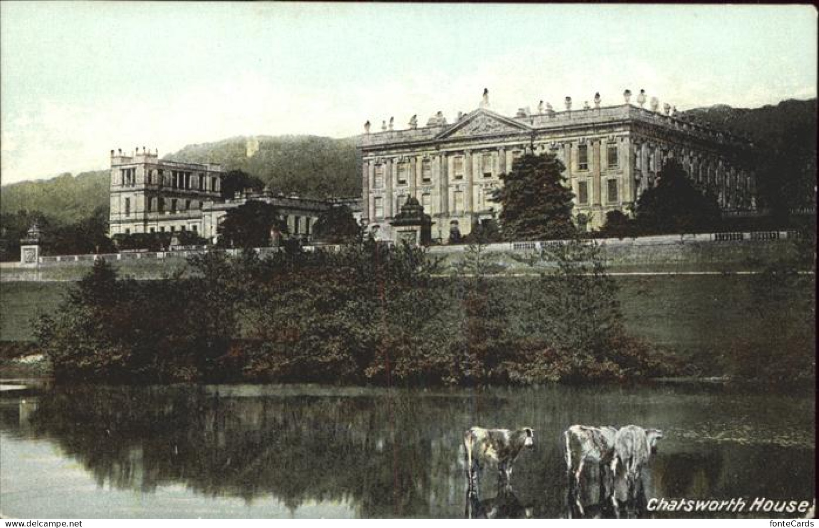 11384544 Chatsworth House Kuehe Derbyshire Dales - Other & Unclassified