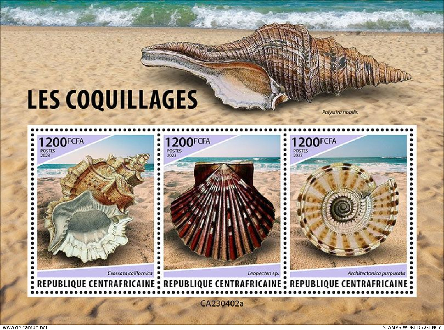 2024-04 - CENTRAL AFRICAN - SHELLS                  3V  MNH** - Muscheln