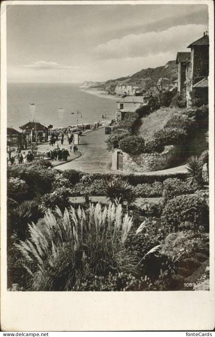 11384425 Ventnor Isle Of Wight Insel Wight Shanklin - Altri & Non Classificati