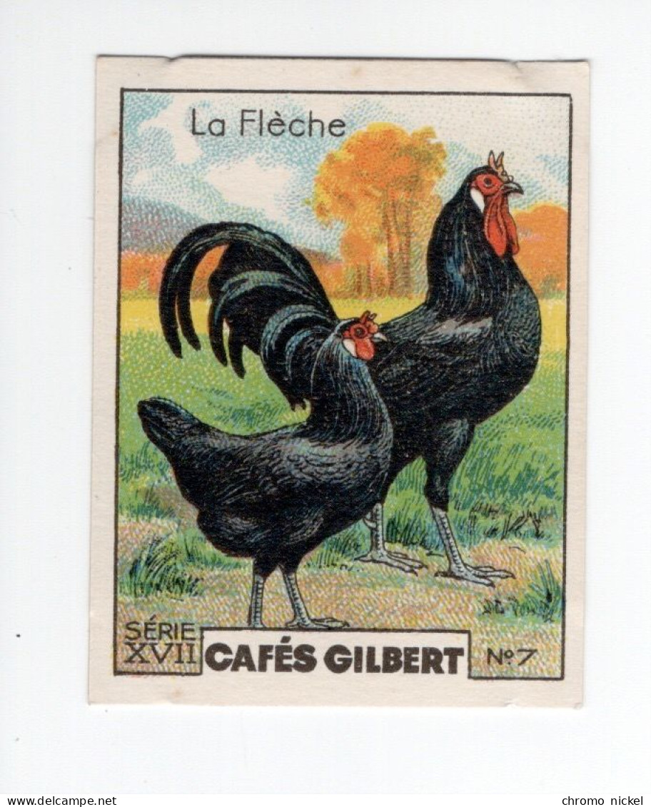 Chromo POULES La Flèche  55 X 45 Mm TB Cafés Gilbert  2 Scans - Tee & Kaffee