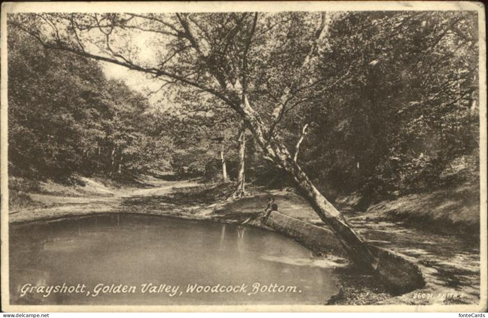 11384142 Grayshott Golden Valley Woodcock Bottom East Hampshire - Sonstige & Ohne Zuordnung