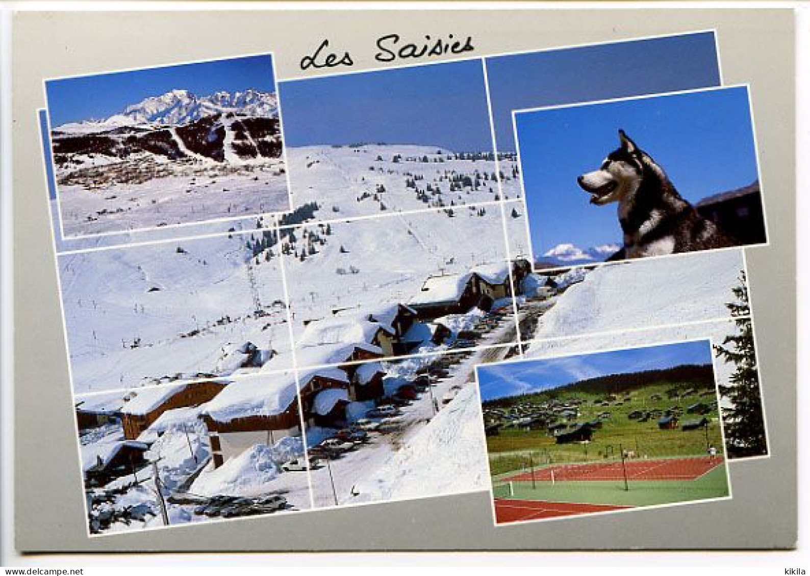 CPSM  10.5 X 15 Savoie LES SAISIES - Other & Unclassified