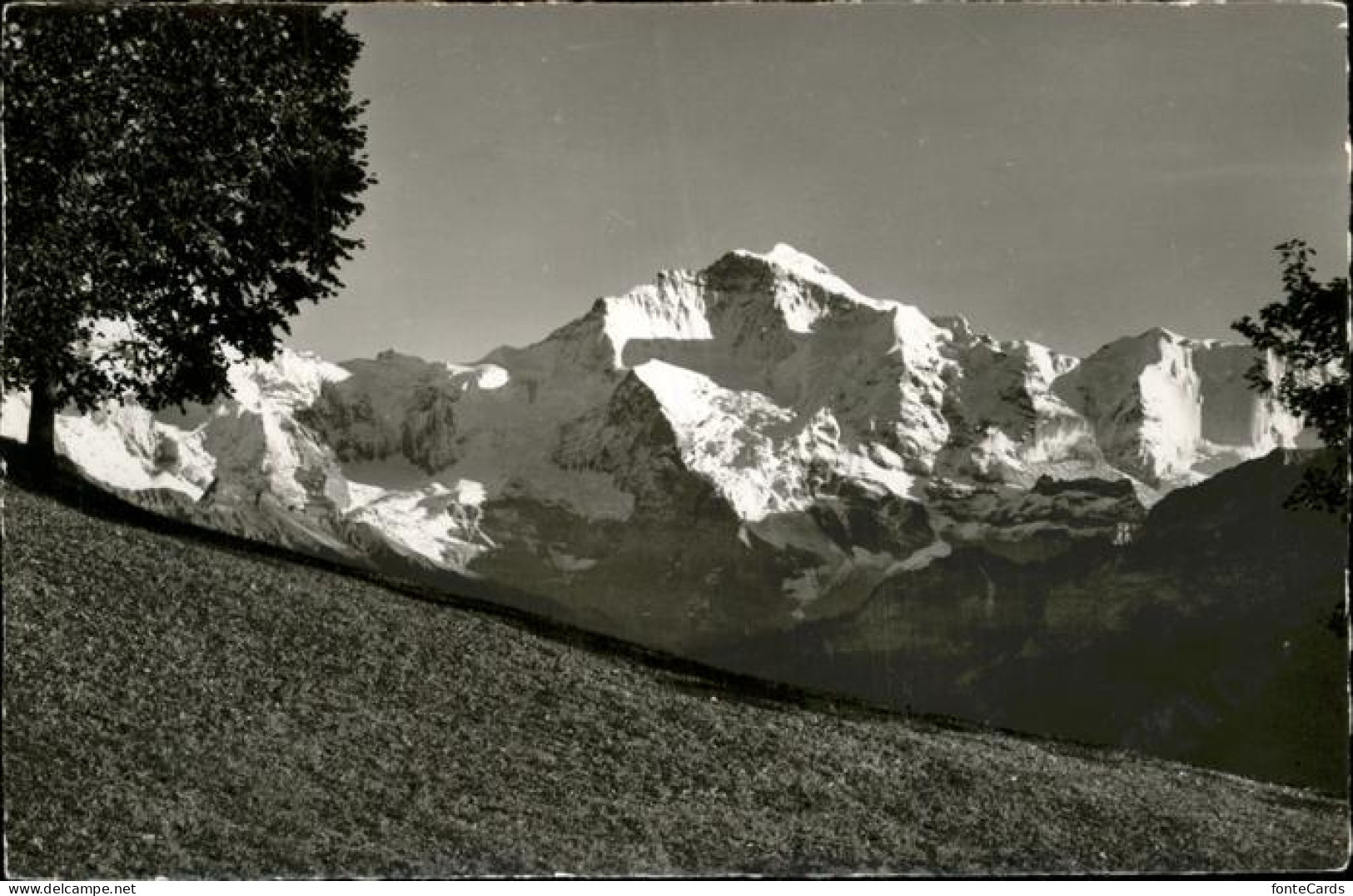 11383464 Beatenberg Panorama Mit Jungfrau Und Ebenfluh Berner Alpen Beatenberg - Other & Unclassified