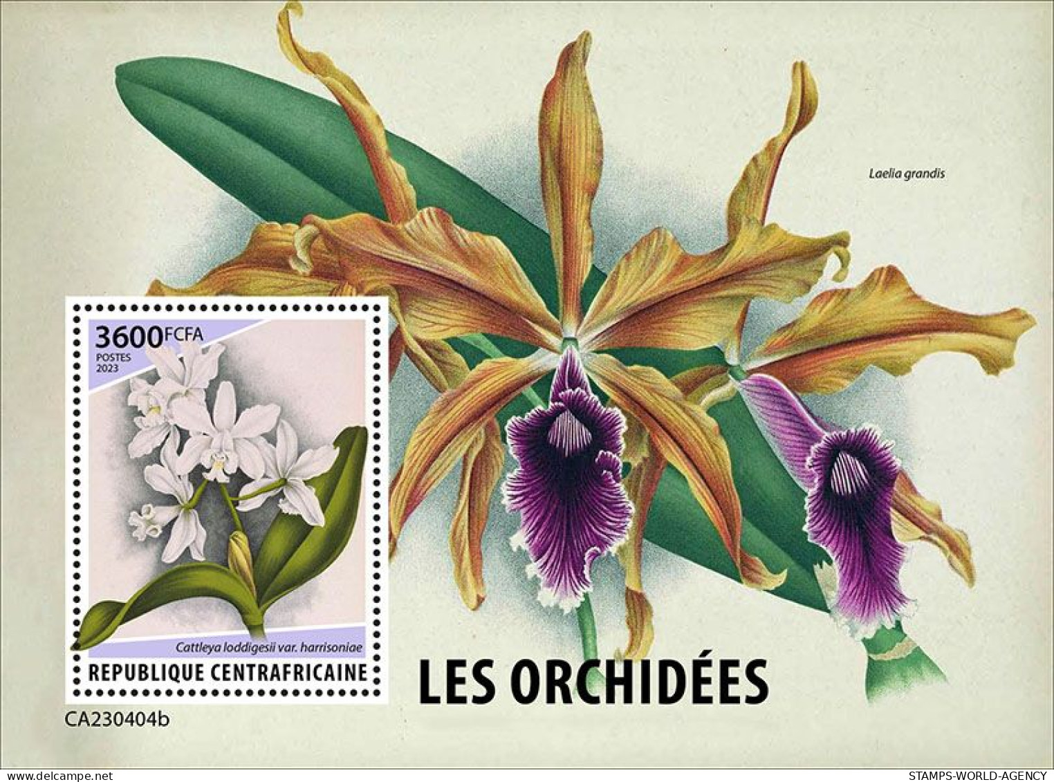 2024-04 - CENTRAL AFRICAN - ORCHIDS                  1V  MNH** - Orchideeën