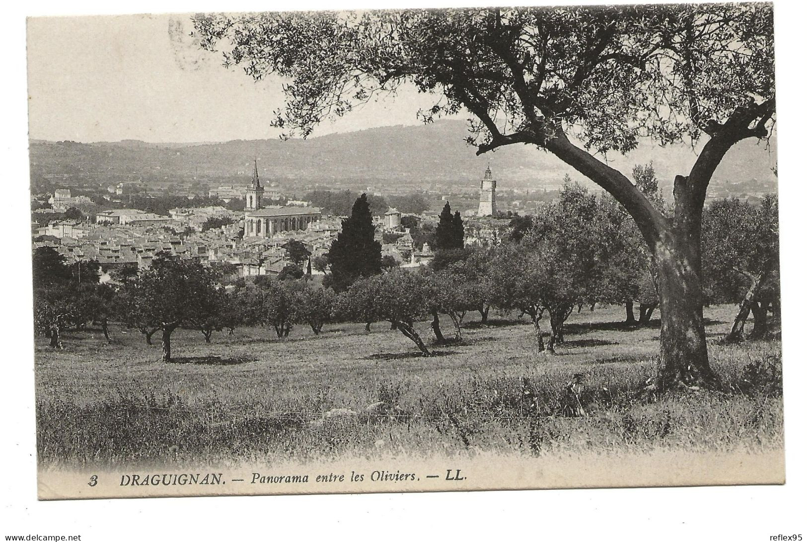 DRAGUIGNAN - Panorama Entre Les Oliviers - Draguignan