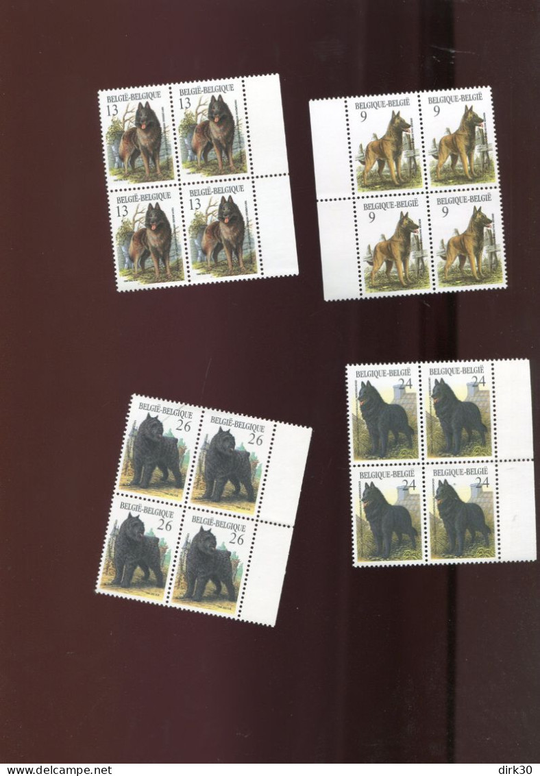 Belgie 1986 2213/16 DOGS Chiens Honden ANDRE BUZIN In Blocks Of 4 MNH - Unused Stamps