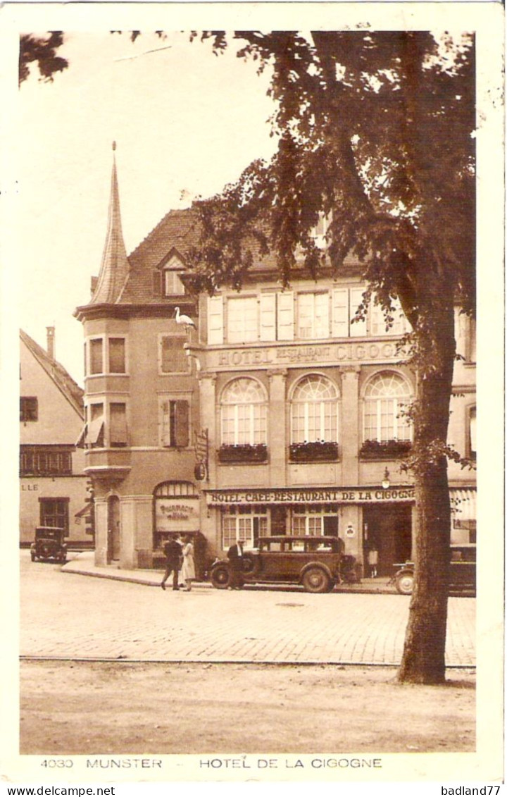 68 - MUNSTER - Hôtel De La Cigogne - Munster