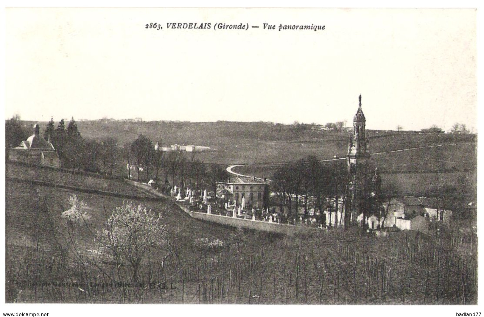 33 - VERDELAIS - Vue Panoramique - Verdelais