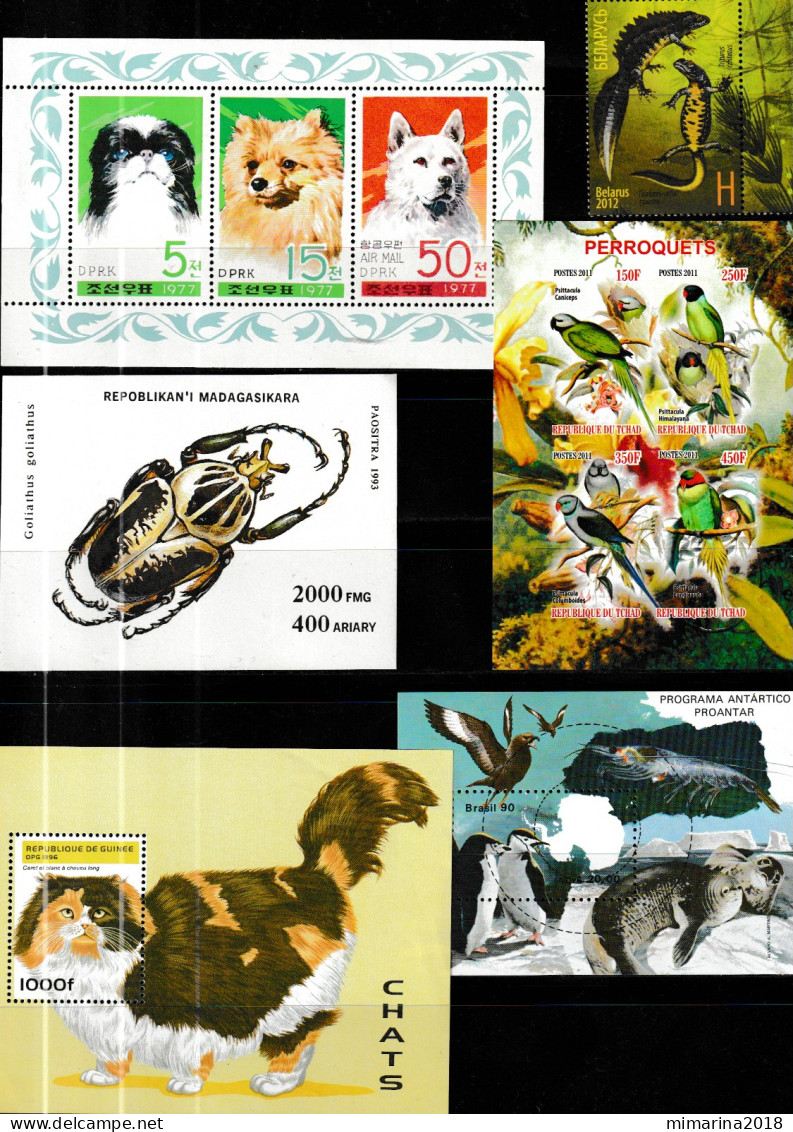 FAUNA  MNH  "6 SHEETS" - Andere & Zonder Classificatie