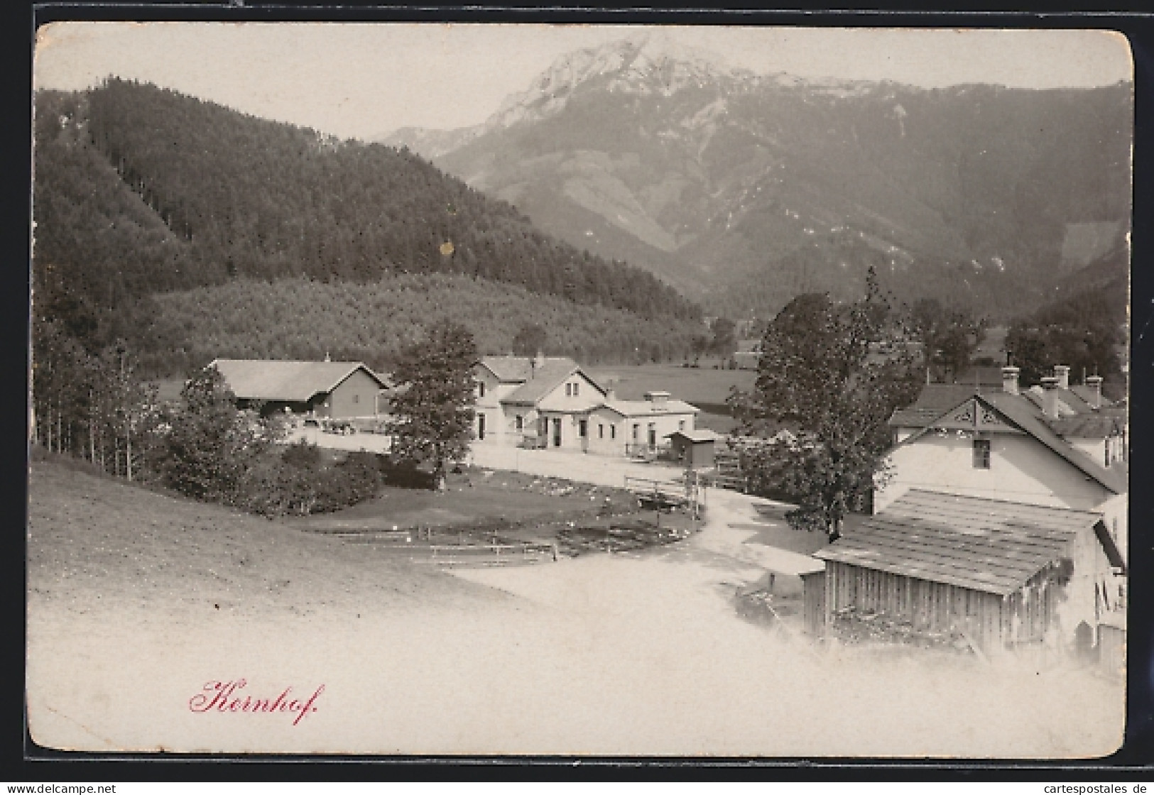 AK Kernhof, Ortsansicht Mit Gasthof Von Leopold Schreiner  - Sonstige & Ohne Zuordnung