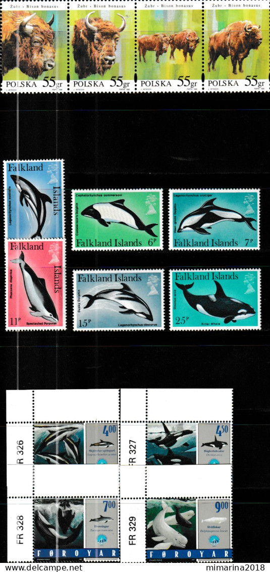 FAUNA  MNH - Other & Unclassified