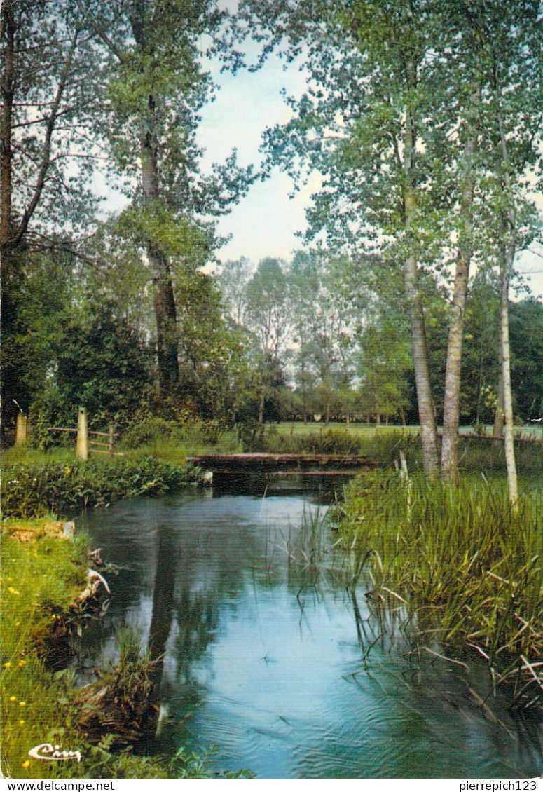 79 - Brioux Sur Boutonne - Un Coin Du Marais - Brioux Sur Boutonne