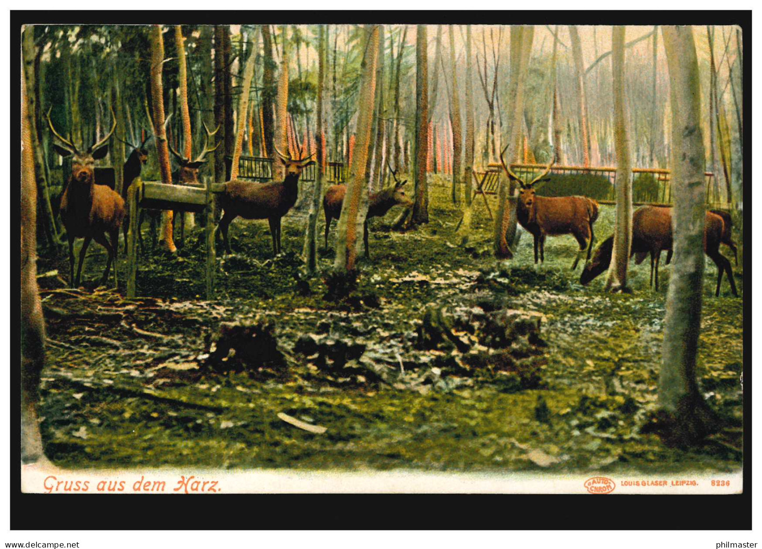 Tiere-AK Gruss Aus Dem Harz: Hirsche Im Gehege, Unbebraucht, Um 1910 - Other & Unclassified