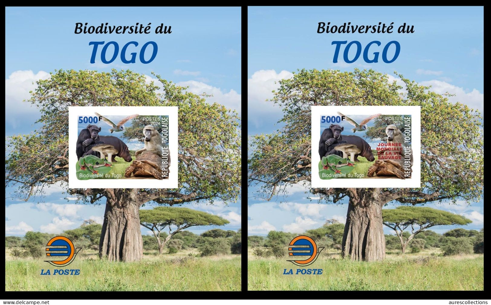 TOGO 2024 MS 1V IMPERF - REG & OVERPRINT - MUSHROOMS OWL OWLS FROG FROGS TURTLE TURTLES HIPPOPOTAMUS BAOBAB MONKEY MNH - Ranas