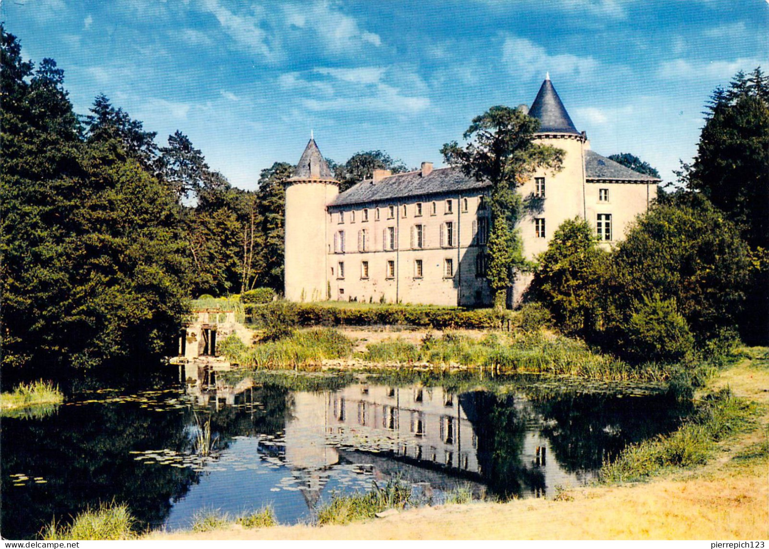 79 - La Forêt Sur Sèvre - Le Château - Sonstige & Ohne Zuordnung