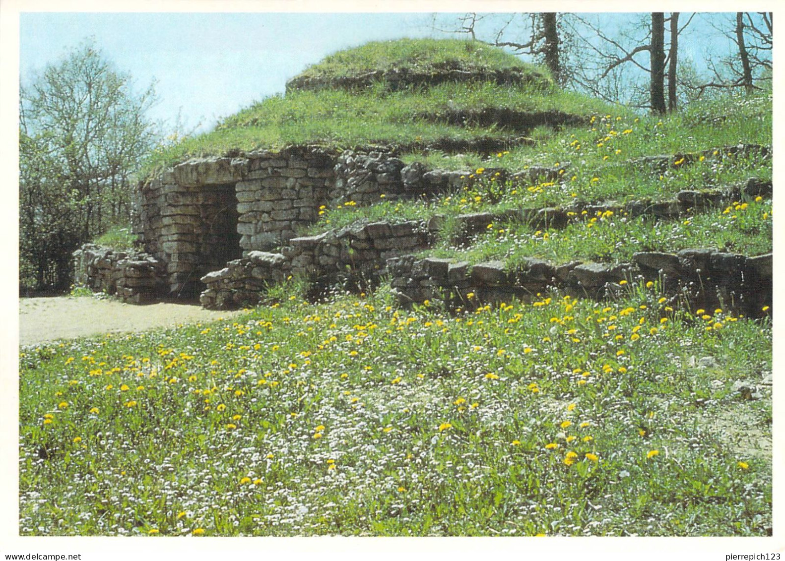 79 - La Mothe Saint Héray - Musée Des Tumulus De Bougon - Tumulus F0 - Début Du VIe Millénaire Avant J.C - La Mothe Saint Heray