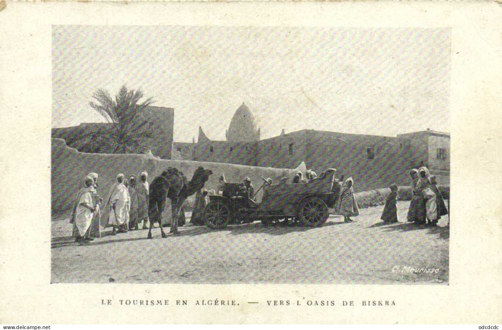 Le Tourisme En Algérie Vers L'Oasis De Biskra Belle Voiture Dromadaire RV - Biskra