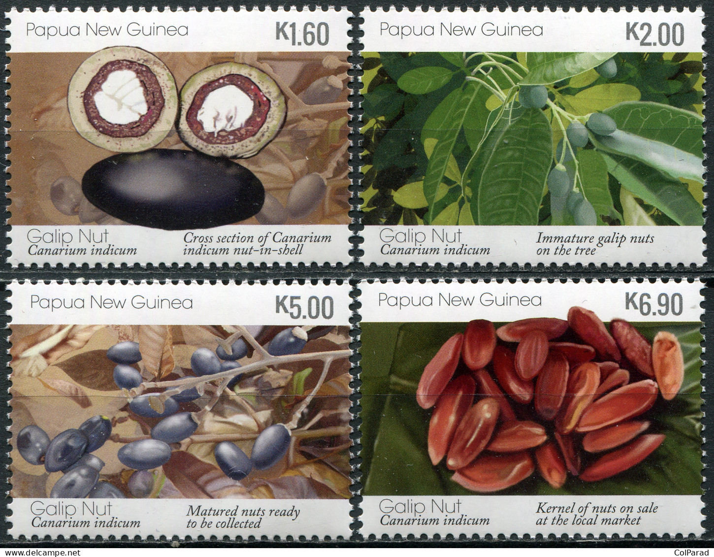 PAPUA NEW GUINEA - 2019 - SET MNH ** - Galip Nuts (Canarium Indicum) (2019) - Papua New Guinea