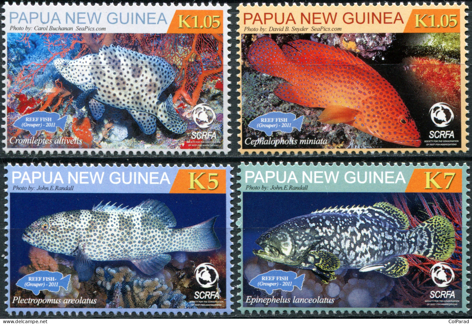 PAPUA NEW GUINEA - 2011 - SET OF 4 STAMPS MNH ** - Reef Fish. Grouper - Papouasie-Nouvelle-Guinée