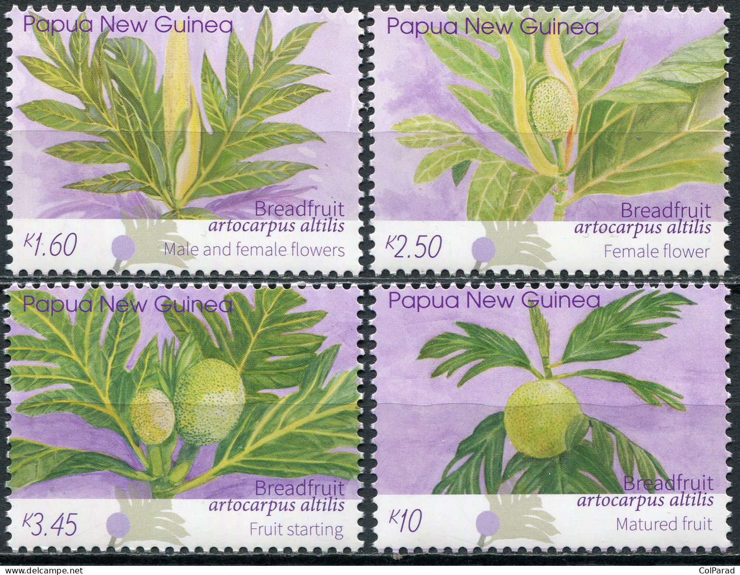 PAPUA NEW GUINEA - 2020 - SET MNH ** - Breadfruit (Artocarpus Altilis) (2020) - Papouasie-Nouvelle-Guinée