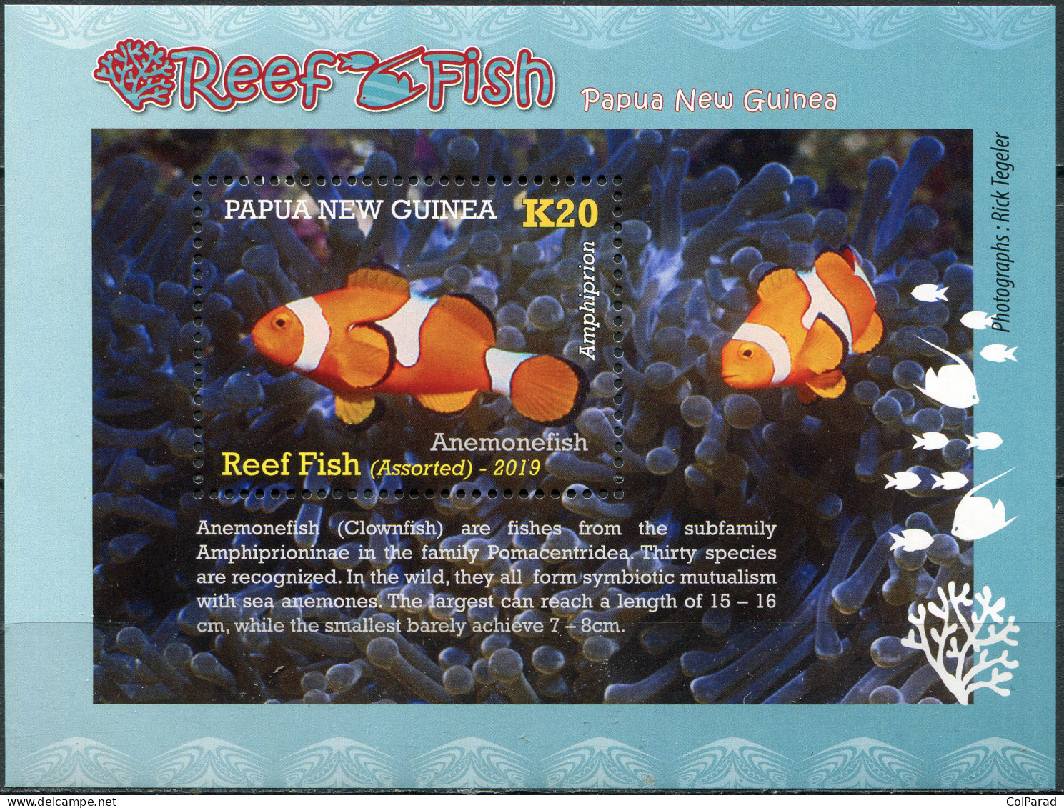 PAPUA NEW GUINEA - 2019 - SOUVENIR SHEET MNH ** - Anemonefish - Papouasie-Nouvelle-Guinée