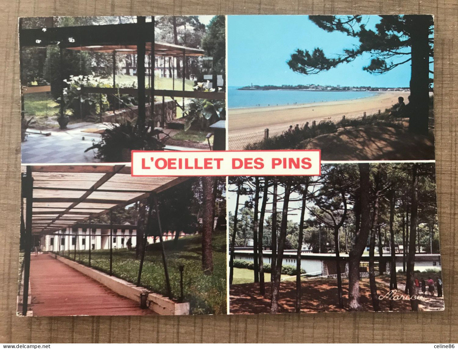 SAINT GEORGES DE DIDONNE "L'œil Des Pins" - Saint-Georges-de-Didonne