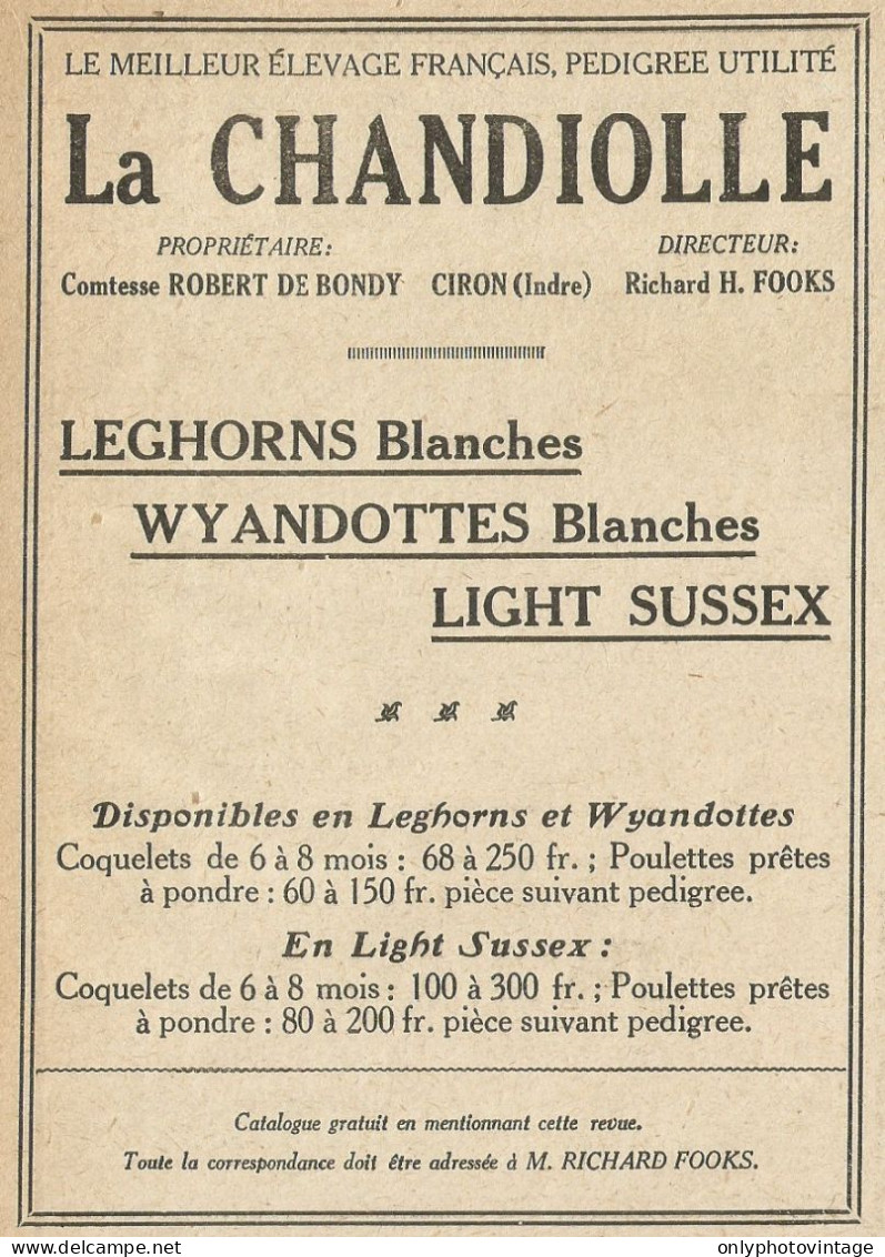 CHANDIOLLE Il Migliore Allevamento Francese - Pubblicità 1929 - Advertis. - Advertising