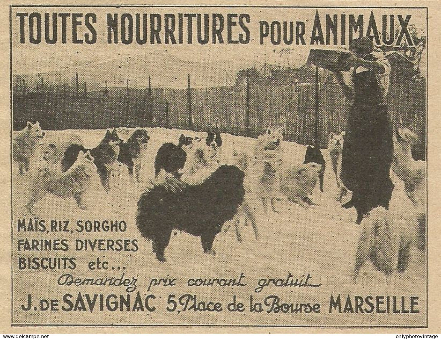 Alimenti Per Cani J. De Savignac - Pubblicità 1929 - Advertising - Advertising