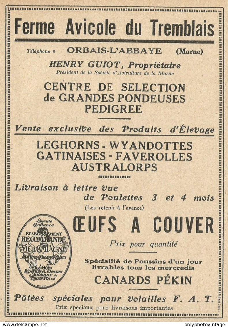 Patèès Spèciales Pour Volailles F.A.T. - Pubblicità 1929 - Advertising - Advertising