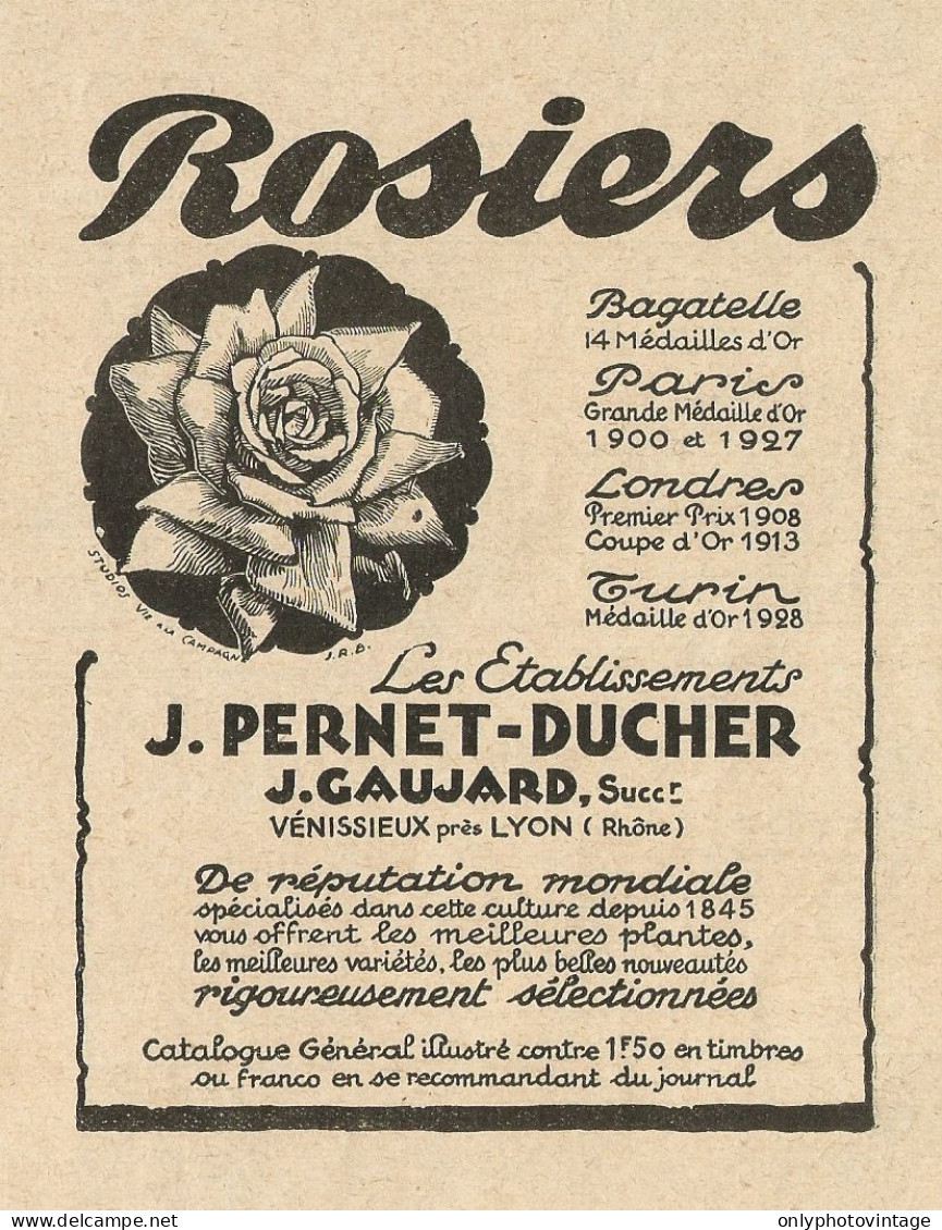 Rosai J. Pernet Ducher - Pubblicità 1929 - Advertising - Advertising
