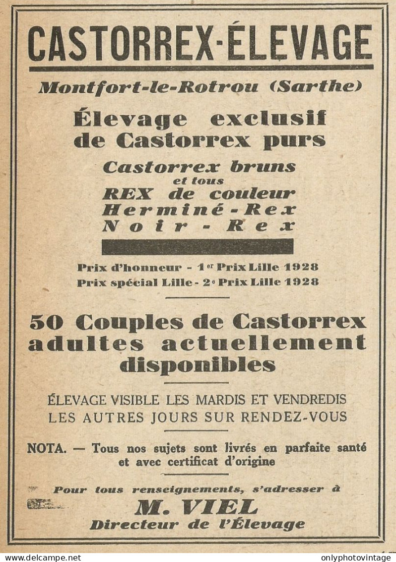 Castorrex èlevage - Pubblicità 1929 - Advertising - Advertising