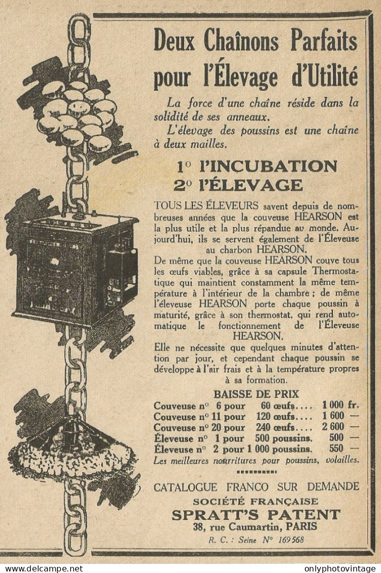 Deux Chainons Parfaits Pour L'èlevage D'utilitè - Pubblicità 1928 - Adv. - Advertising