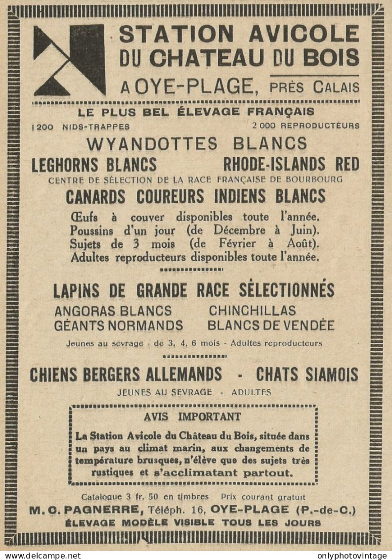 Station Avicole Du Chateau Du Bois - Pubblicità 1928 - Advertising - Advertising