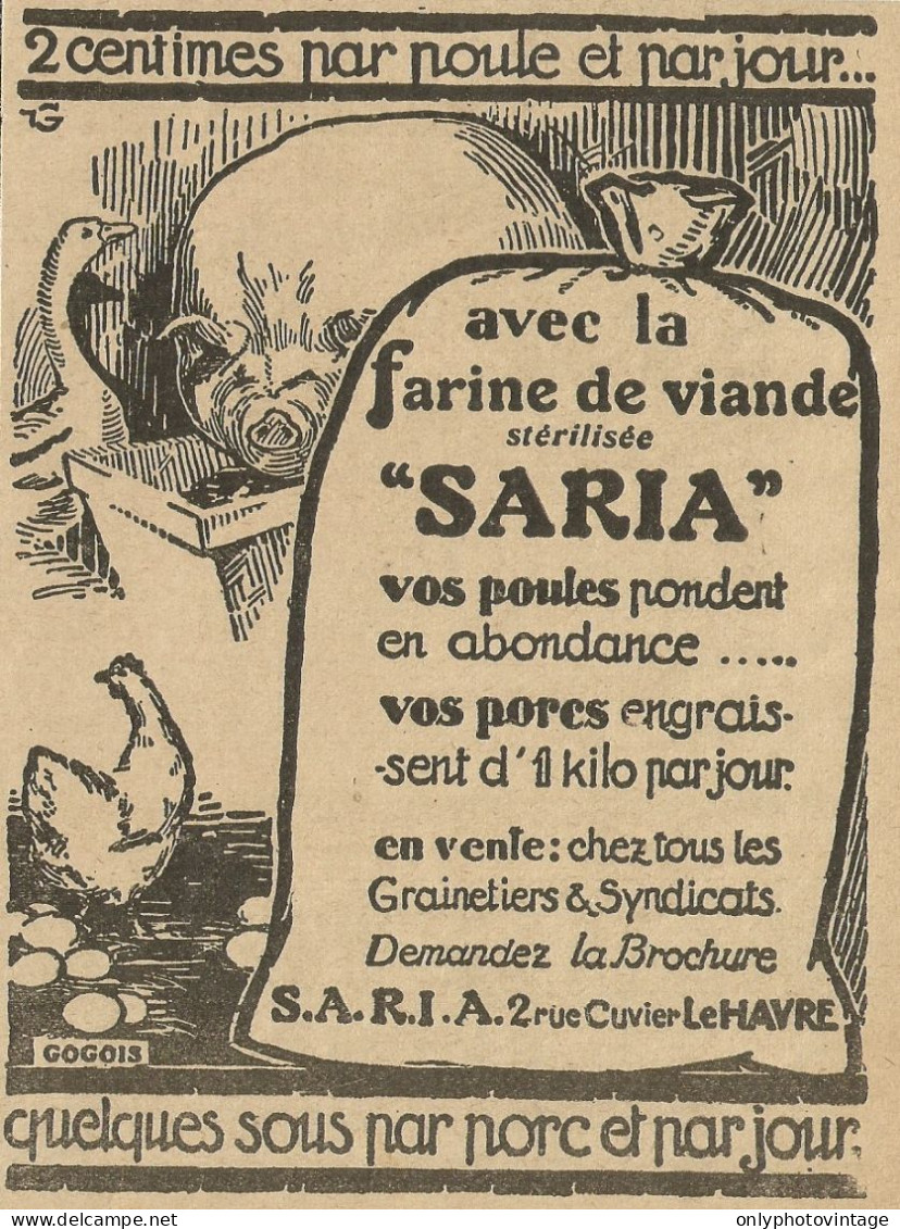 Alimenti Per Pollastri E Maiali SARIA - Pubblicità 1929 - Advertising - Advertising