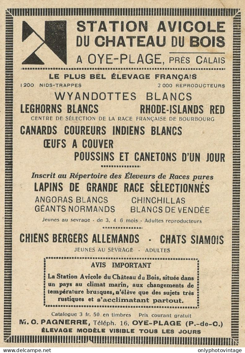 Station Avicole Du Chateau Du Bois - Pubblicità 1929 - Advertising - Advertising