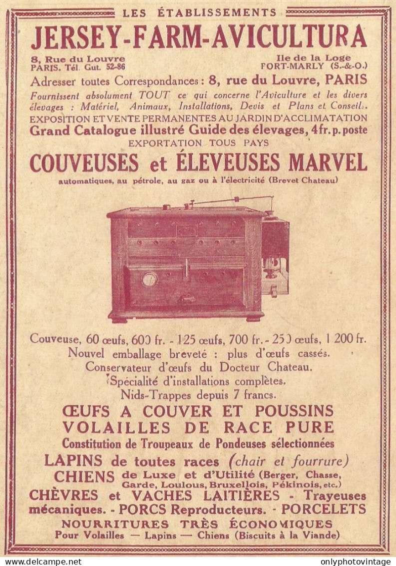 Jersey Farm Aviculture - Couveuses Et Eleveuses - Pubblicità 1922 - Adv. - Advertising